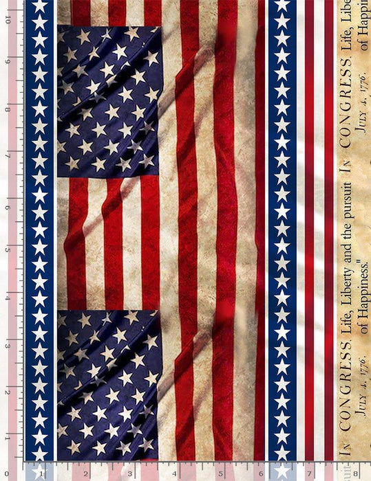 New! We The People - per yard - Timeless Treasures - Land of the Free - Packed USA Monuments - USA-C8322 Multi - RebsFabStash