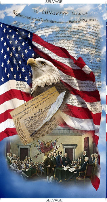 New! We The People - per yard - Timeless Treasures - Land of the Free - Packed USA Monuments - USA-C8322 Multi - RebsFabStash