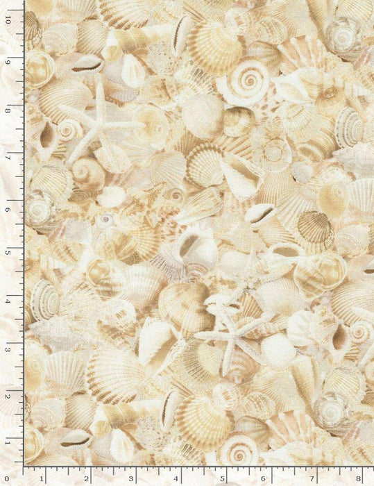 New! Welcome to the Beach - per yard- Timeless Treasures - Shells - BEACH-C5353-SHELLS - RebsFabStash