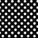 Scattered tiny White dots on Grey - Per Yard- Kimberbell Basics - Maywood Studio - MAS 8210-K - RebsFabStash