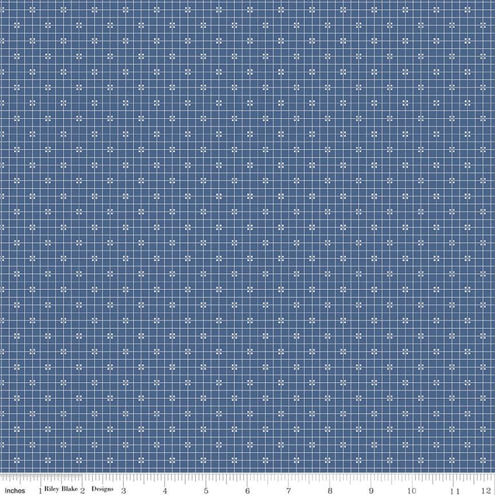 SHIPPING NOW! Lori Holt Prim and Proper QUILT KIT! - PRIM fabrics - Riley Blake - Coming September 2020! Finished Size appx. 63.5" x 75.5" - RebsFabStash