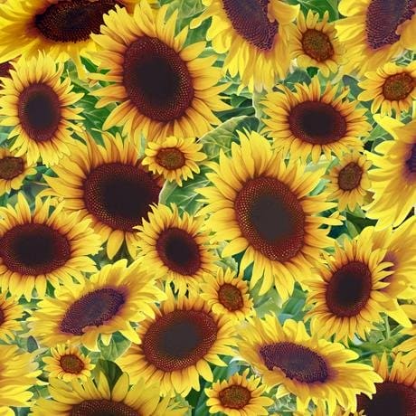 Songbirds - Sunflowers - per yard - Digital Print - Art by Jerry Gadamus & Jan McGuire - Quilting Treasures - 27786 -S - RebsFabStash
