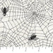 Wicked - per yard - by Nina Djuric for Northcott - White Spiderweb - RebsFabStash